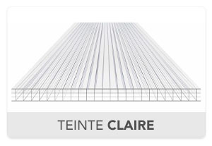 Plaque Polycarbonate 10mm 4P Clair