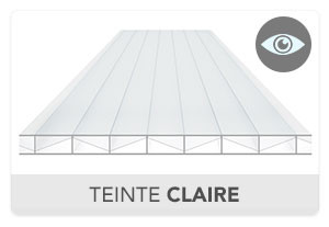 Plaque Polycarbonate 16mm 3P Clair