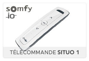 Télécommande SITUO 1 iO