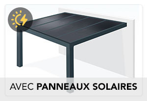 Version  avec Panneaux Photovoltaïques