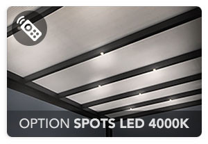 Option Spots LED 4000K (avec Télécommande)