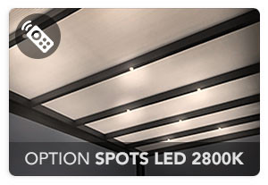 Option Spots LED 2800K (avec Télécommande)