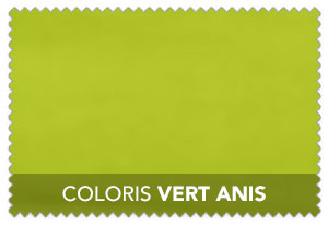 Coloris Vert Anis