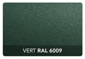 Vert RAL 6009 Sablé