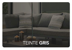 Teinte  Gris