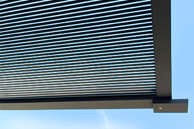 Photo de l'Auvent de Porte d'Entrée BS 3D-LINE format 200cm