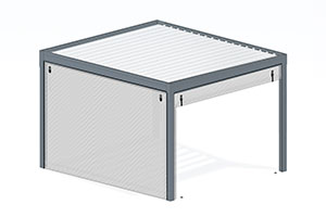 Option Store Screen Vizeo