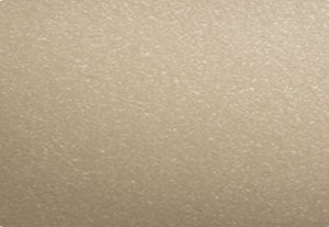 Beige Gris RAL 1019