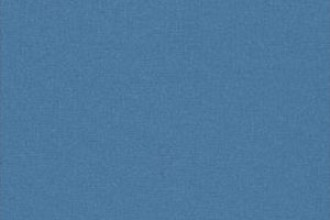 Bleuet 8204