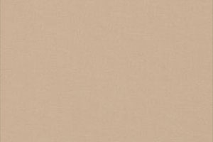 Beige 8902