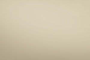 Light Ivory RAL 1015
