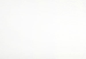 Blanc Trafic RAL 9016